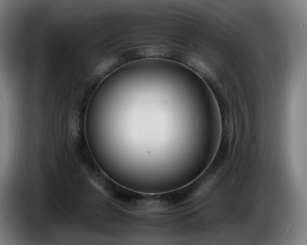 X0000086720255200704201632