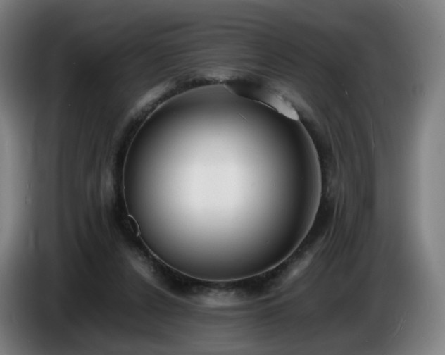 X0000086720256200704201632
