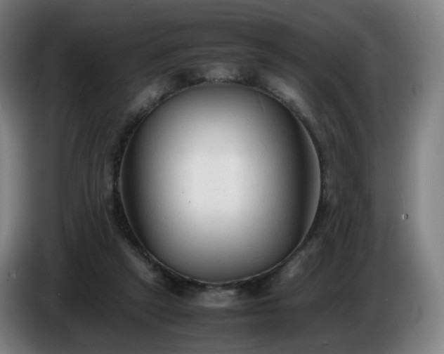 X0000086720257200704201632