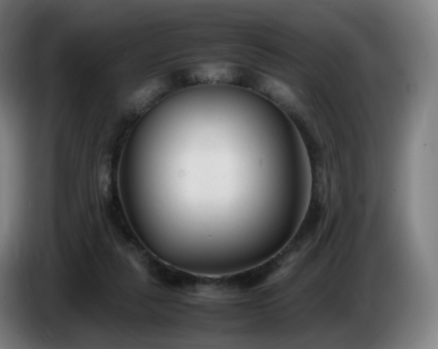 X0000086720259200704201632