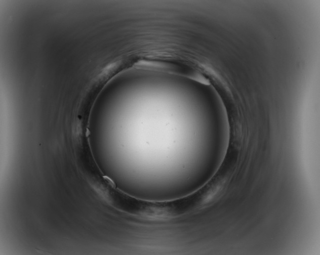 X0000086720260200704201632