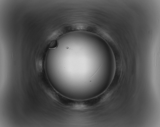X0000086720262200704201632
