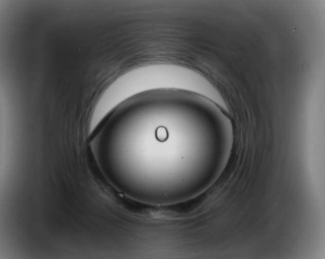 X0000086720268200704201632
