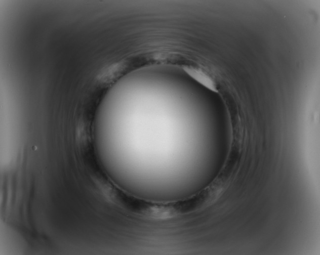 X0000086720272200704201632
