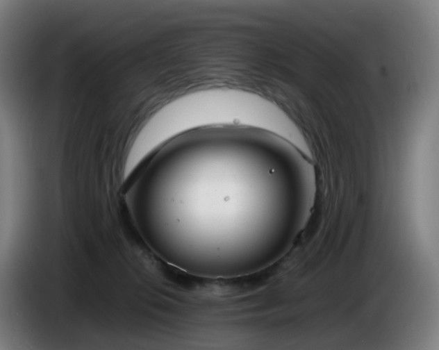 X0000086720276200704201632