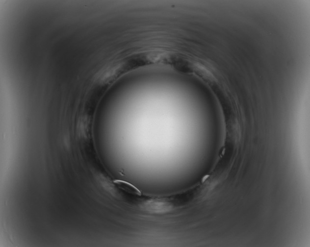 X0000086720280200704201632