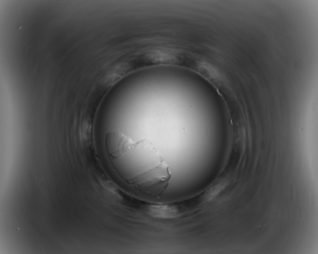 X0000086720281200704201632
