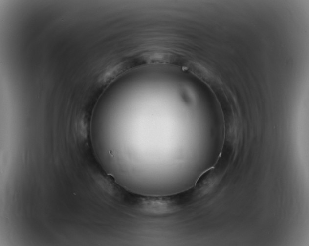 X0000086720282200704201632