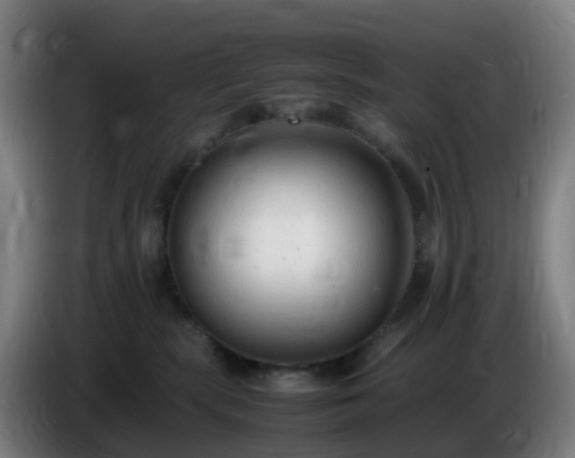 X0000086720283200704201632
