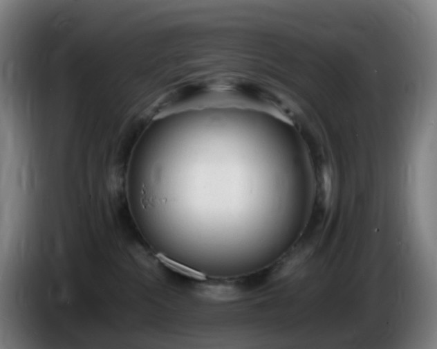 X0000086720284200704201632