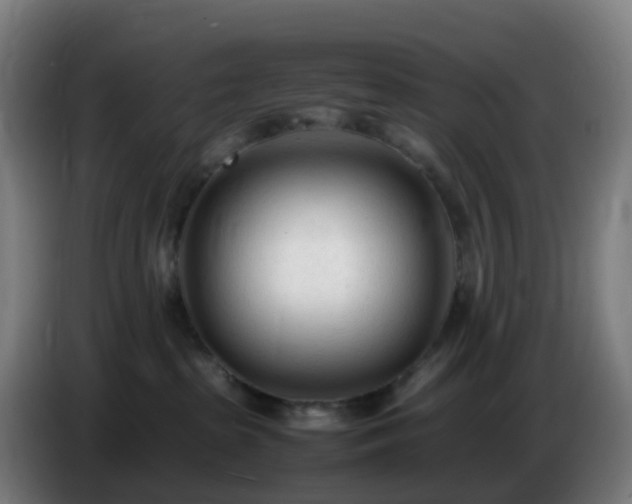 X0000086720285200704201632