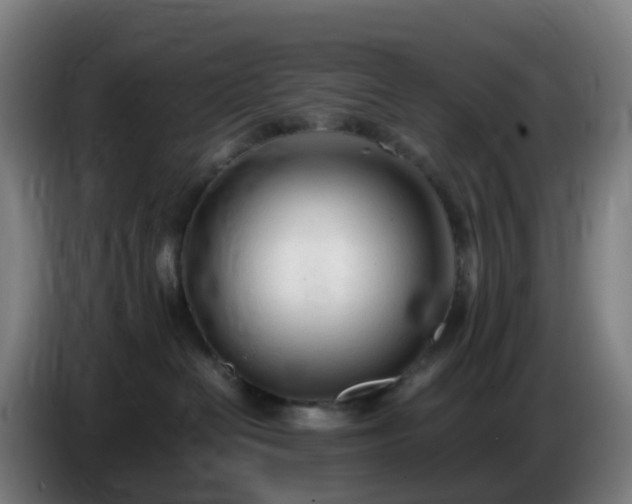 X0000086720286200704201632