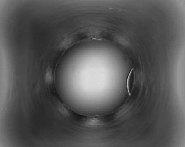 X0000086720287200704201632