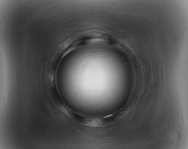 X0000086720288200704201632