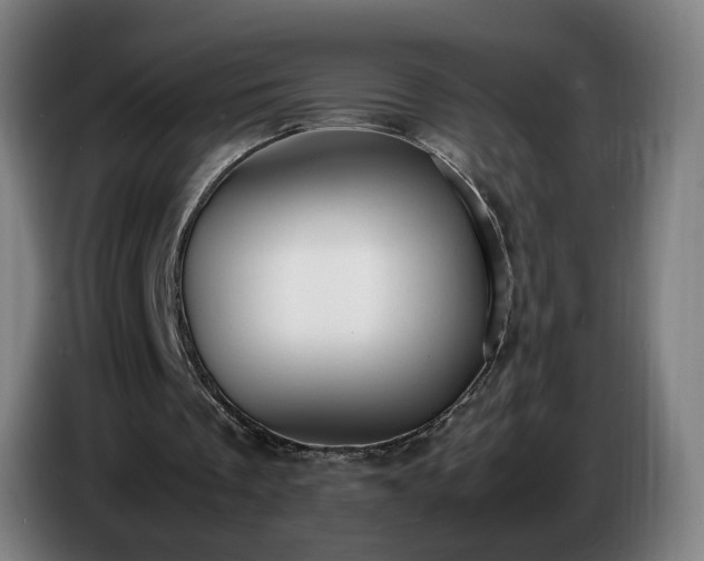 X0000086720289200704201632