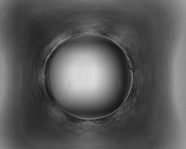 X0000086720290200704201632