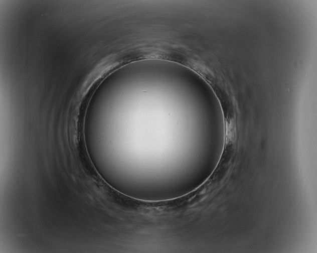 X0000086720291200704201632