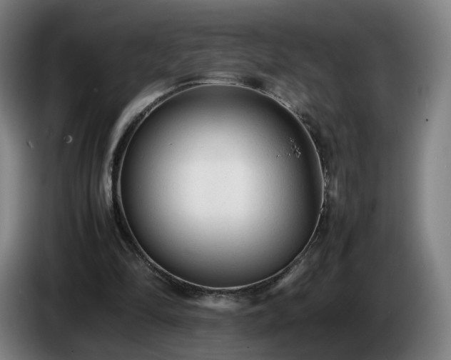 X0000086720294200704201632