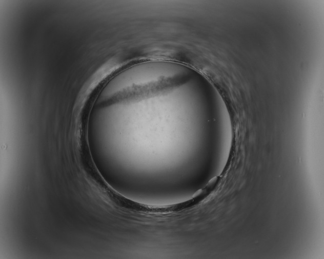 X0000086720295200704201632
