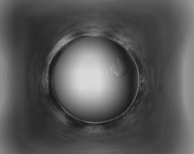 X0000086720296200704201632
