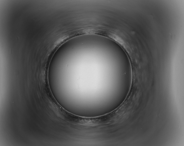 X0000086720297200704201632