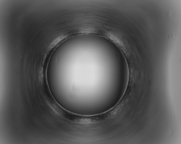X0000086720298200704201632