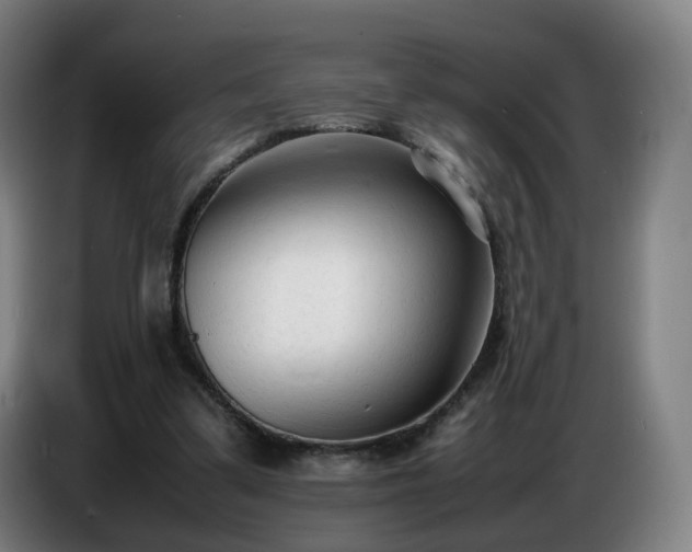 X0000086720299200704201632