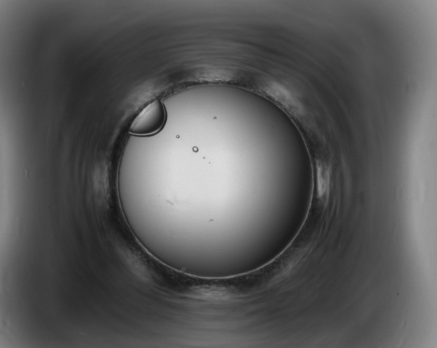 X0000086720300200704201632