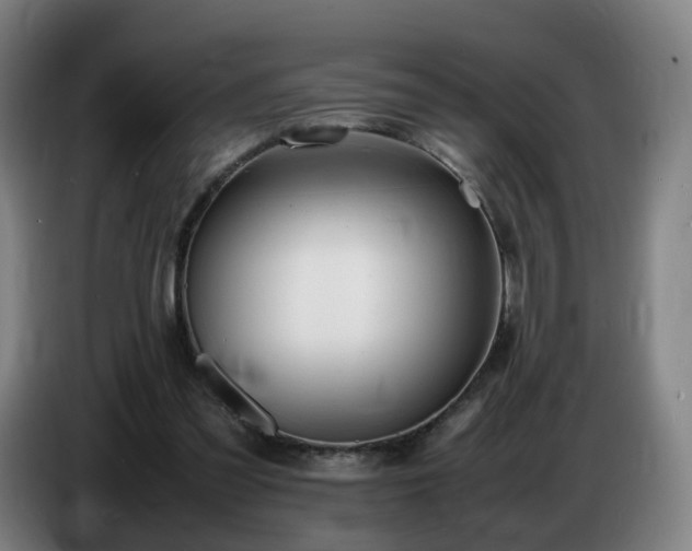 X0000086720301200704201632