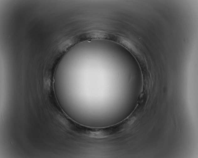 X0000086720309200704201632