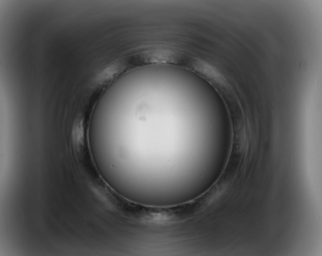 X0000086720310200704201632