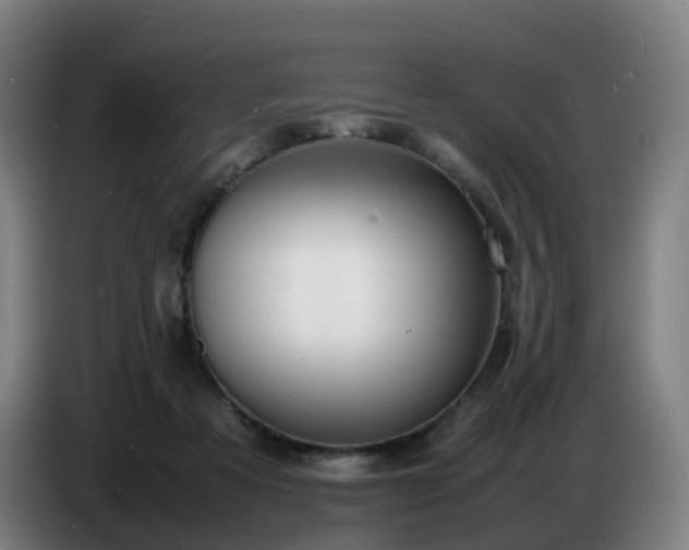 X0000086720313200704201631