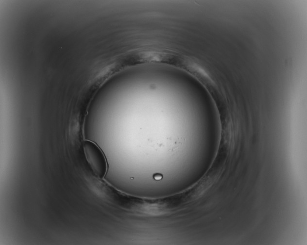 X0000086720314200704201631