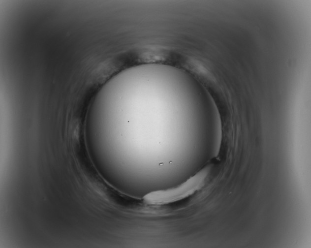 X0000086720315200704201631