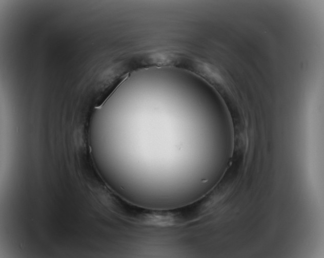 X0000086720317200704201631