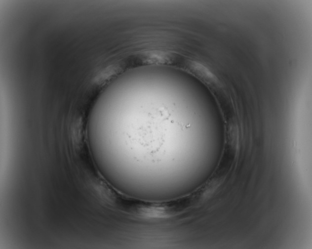 X0000086720318200704201631