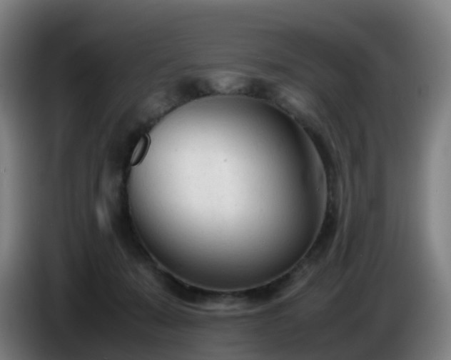 X0000086720319200704201631