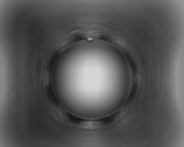 X0000086720323200704201631
