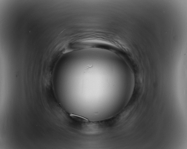 X0000086720325200704201631