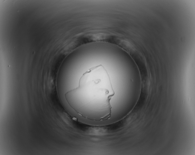 X0000086720327200704201631