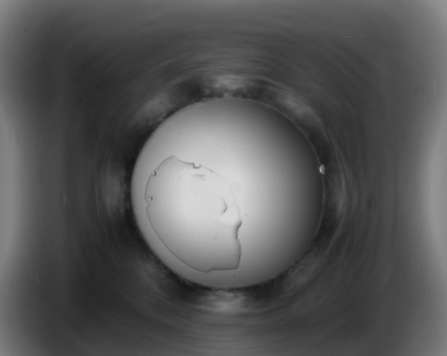 X0000086720328200704201631