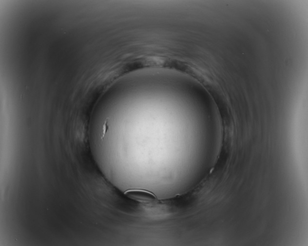 X0000086720331200704201631