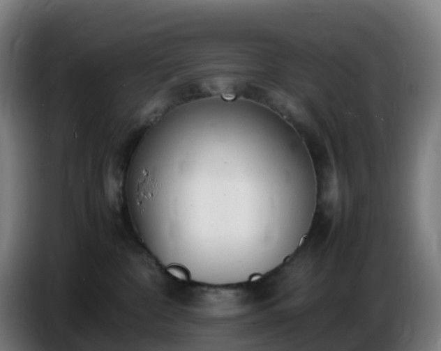 X0000086720332200704201631