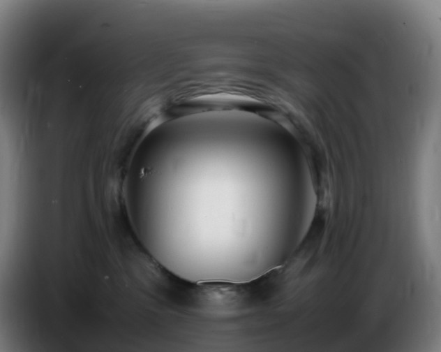 X0000086720333200704201631