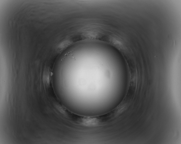 X0000086720334200704201631