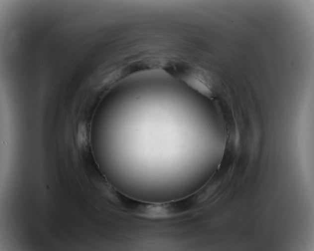 X0000086720335200704201631