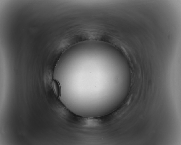 X0000086720336200704201631