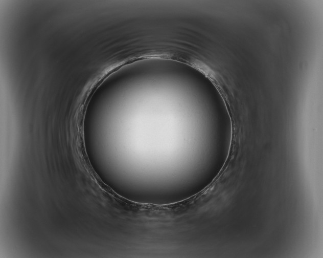 X0000086720337200704201631