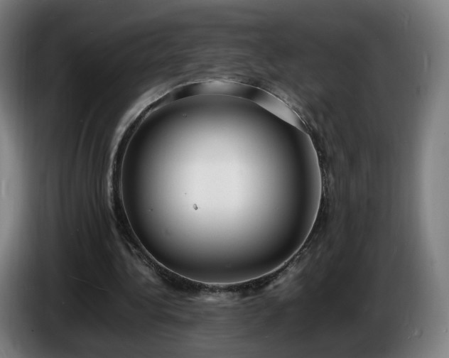 X0000086720340200704201631
