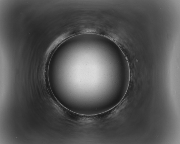 X0000086720341200704201631